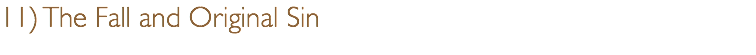 11) The Fall and Original Sin